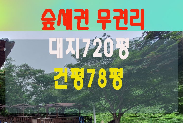  경기북부 완전숲세권 이쁜브런치카페가든임대  올대지720평 애견카페운동장 바베큐장임대강추!무권리인수 인테리어우수