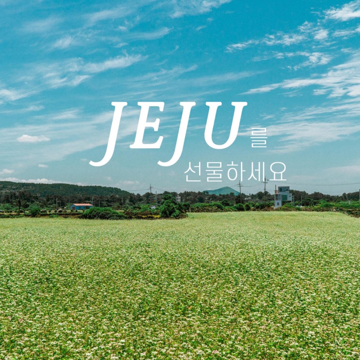  제주투어패스, 제주를 선물하세요