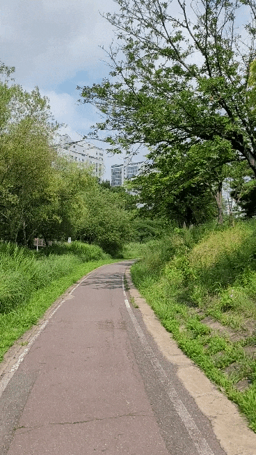  2021.07.13 요즘 나의 출근길