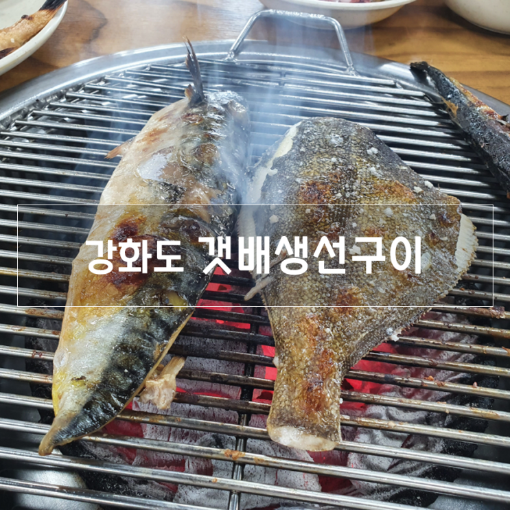  강화도 맛집, 갯배생선구이 내돈내산 솔직 후기