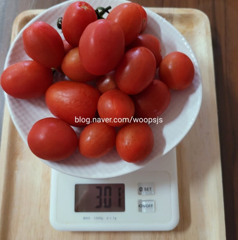 제2형 당뇨병과 과일섭취(수박, 멜론, 체리, 토마토 예시) 식품환산표 2