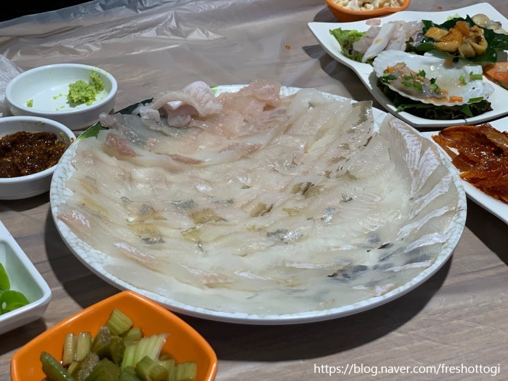  고성 아야진 맛집ㅣ갈매기 횟집 모둠회 미쳤음