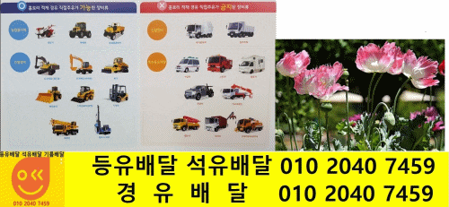  이천시 대월면 디젤배달 초지리 디젤배달 대대리 디젤배달 도리리 디젤배달 구시리 디젤배달 군량리 디젤배달 송라리 디젤배달 장평리 디젤배달 대흥리 디젤배달 마장면 디젤배달