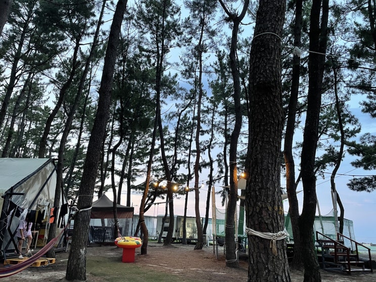  [울진 글램핑장 추천] 핑클 캠핑클럽 구산해수욕장에 위치한 구산오토캠핑장에서 1박 2일 후기 2편