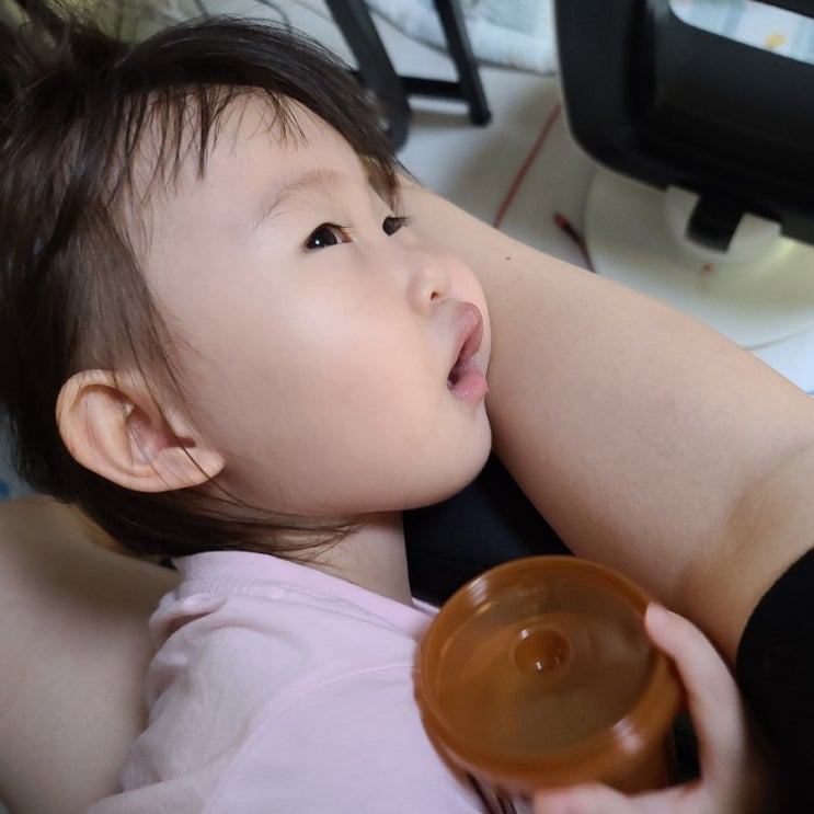  25개월 아기 발달 말이느린아기 언어의 시작