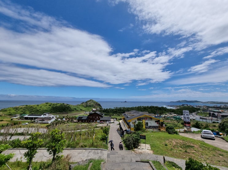  제주 산방산 가볼만한 곳_ 용머리해안, 자리돔물회, 성게보말국