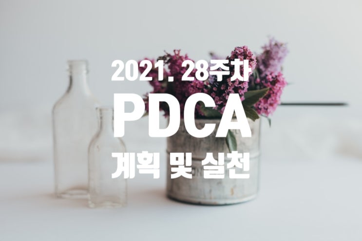  2021년 계획과 실천 28주차 점검