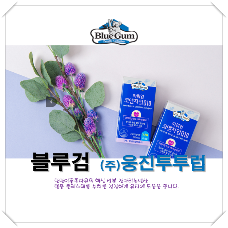  [블루검] 혈중 콜레스테롤 수치를 건강하게 유지하는 데 도움