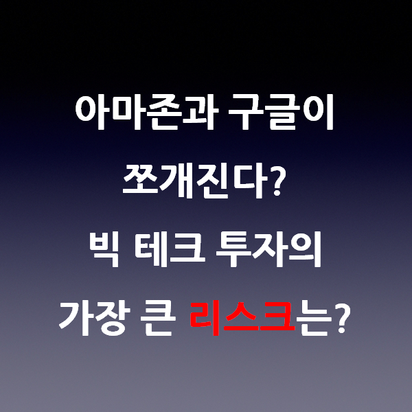 아마존과 구글이 쪼개진다? 빅테크 투자의 가장 큰 리스크는?