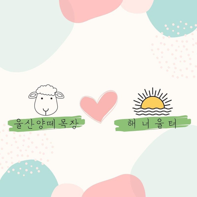울산양떼목장x해너울터 CROSS! 체험과 휴식을 함께 해보세요.