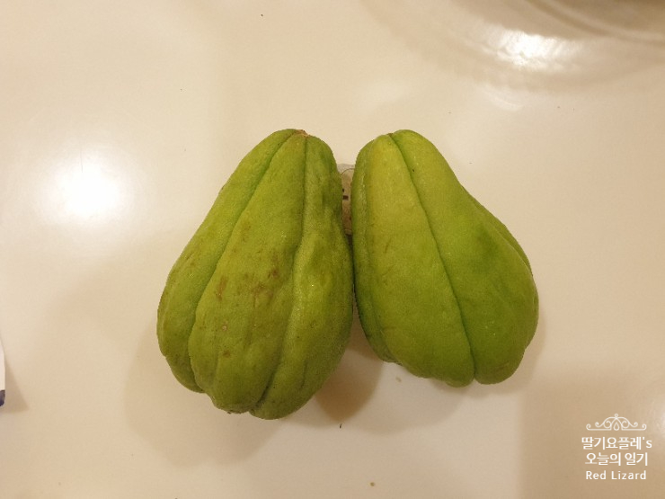  차요테(Chayote, Labu Siam Besar) 효능과 요리