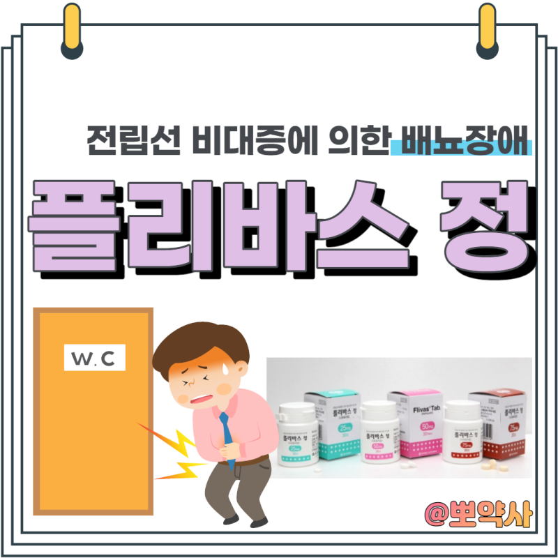 플리바스정75mg, 25mg, 50mg 배뇨장애약 여자가 복용?