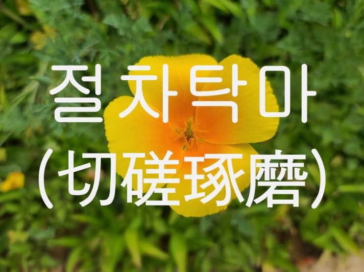  절차탁마, 천재도 노력해야 한다