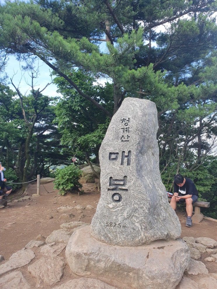  [직장인 100일 다이어트 바디프로필] 바디프로필 준비 79일차 D-26 (식단, 운동, 공복등산, 간헐적단식, 청계산, 매봉, 돌문바위, 폭염)