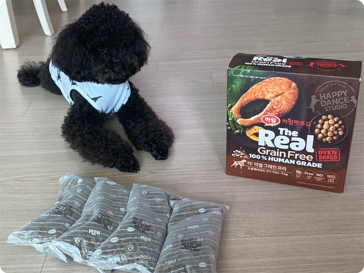  강아지사료추천 부드러운 더리얼 그레인프리 사료