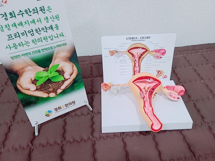  수원 산후보약 한의원에서 산후부종 치료해보세요