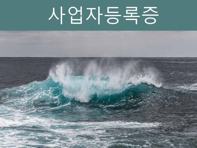  개인 사업자등록증 신청 및 등록, 조건 4가지 정리!!