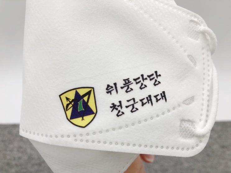  '위풍당당 청궁대대' - 수도방위사령부 군대 마스크 인쇄 제작 후기