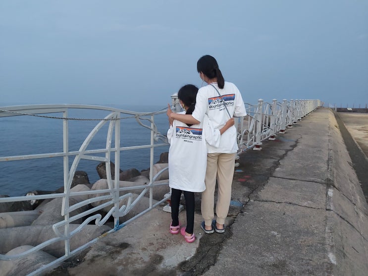  속초 설악항 회센터에서 고랑치(등가시치), 돌삼치(쥐노래미) 활어 냠냠