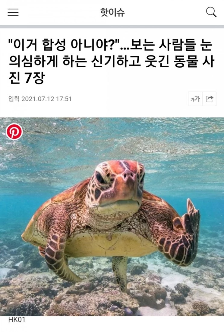 신기하고 웃긴 동물사진 7