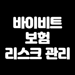  바이비트 보험 이용으로 리스크 관리하자