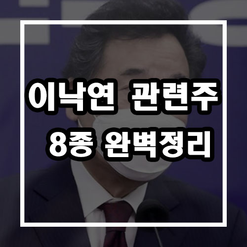  이낙연 관련주 8종 간편 정리 (남선알미늄, sdn, 삼부토건 등)