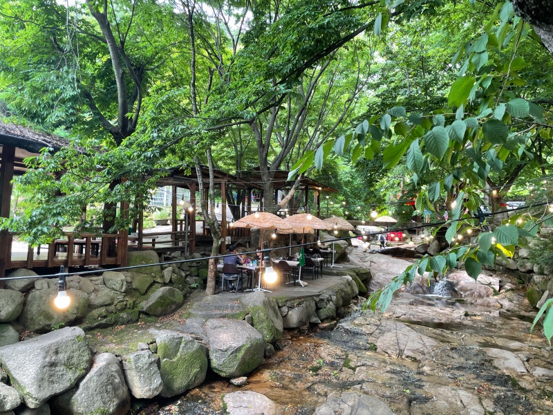 경산 와촌면 팔공산 계곡식당, [개울가식당] 무더위에 시원한 오리고기~ : 네이버 블로그