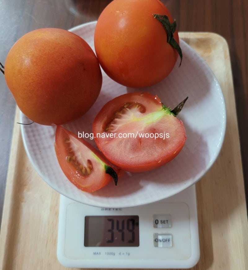 제2형 당뇨병과 과일섭취(수박, 멜론, 체리, 토마토 예시) 식품환산표 1