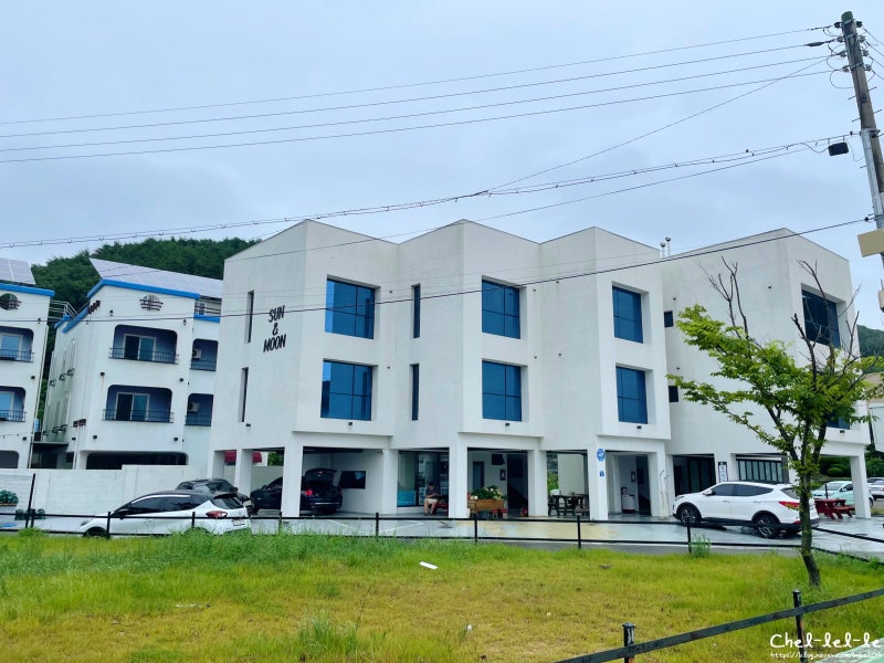 사진 3