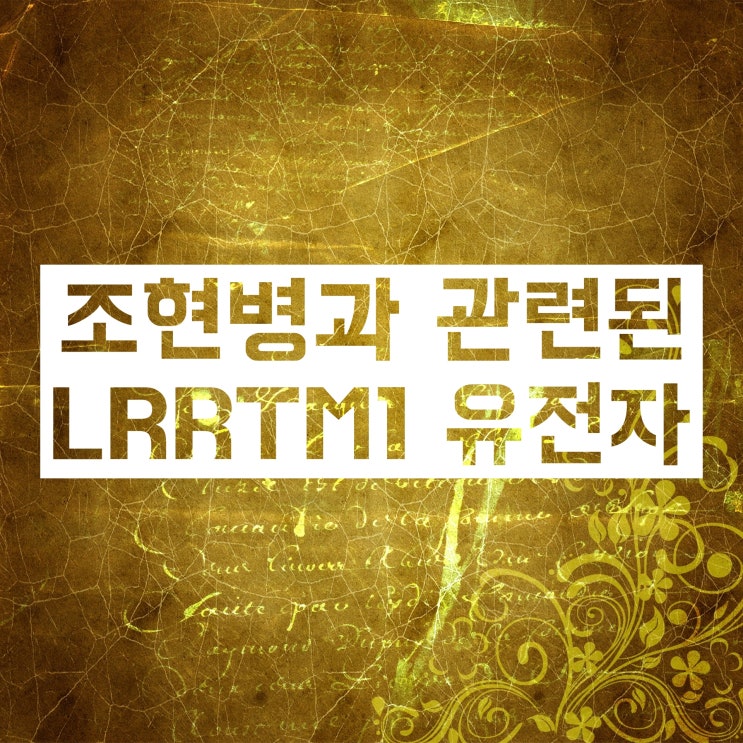 왼손잡이 유전, 어떻게 결정되는지 아세요? 왼손잡이 유전, 어떻게 결정되는지 아세요?