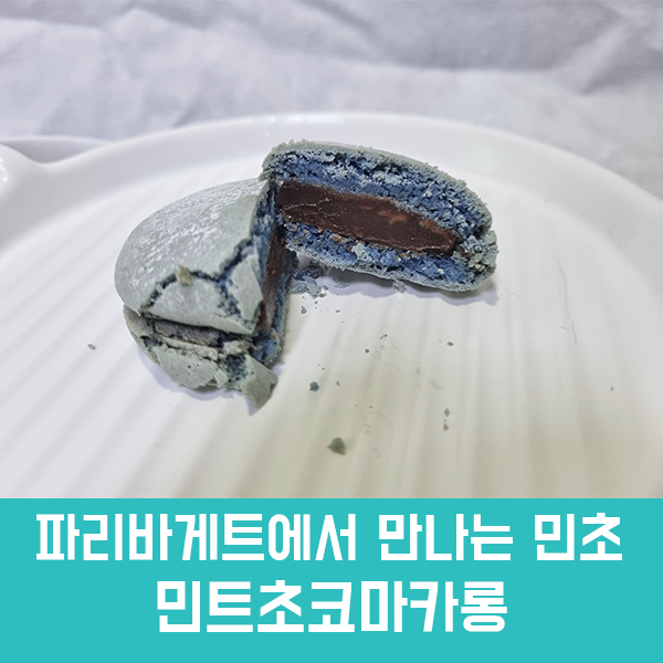  민초좋아) 파리바게트 민트초코마카롱 후기, 가격, 칼로리/ 초콜릿맛이 너무 강한 민트초코마카롱