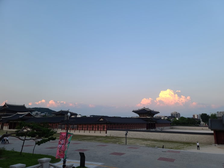산책 기록 4~7월 산책 기록 4~7월