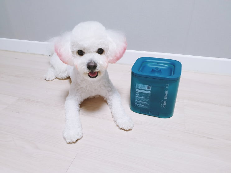 강아지급수기 스마트한 펫킷 정수기 필터도 대만족! 강아지급수기 스마트한 펫킷 정수기 필터도 대만족!