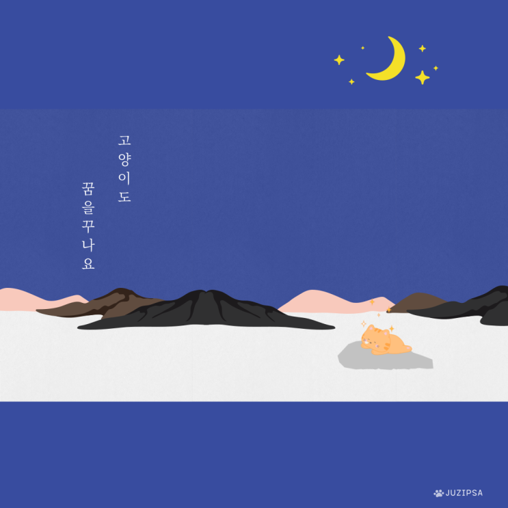  고양이도 사람처럼 꿈을 꾸나요