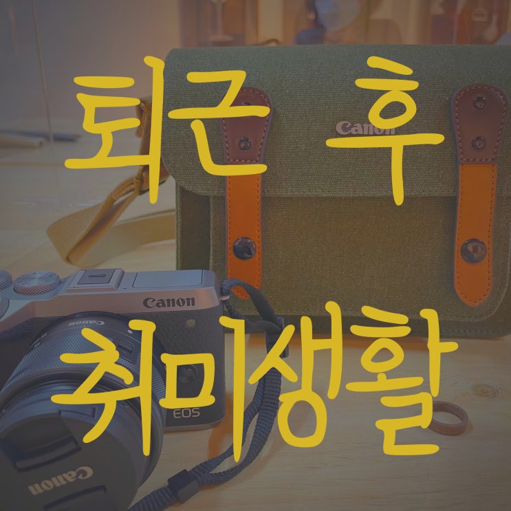  교대역 퇴근 후 달링스테이크 혼밥하기, SAPPA 사진학원 취미반