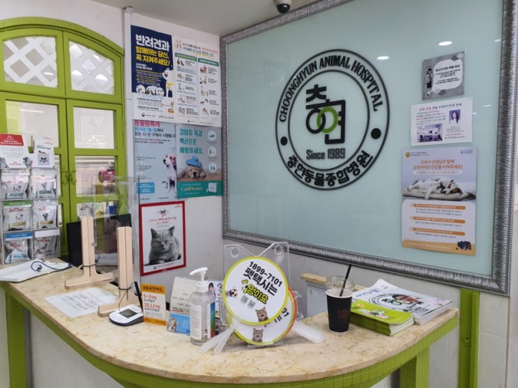  강아지 심장 전문 강남 충현동물병원