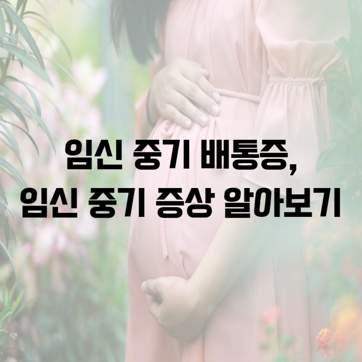  임신 중기 배통증, 임신 중기 증상 알아보기