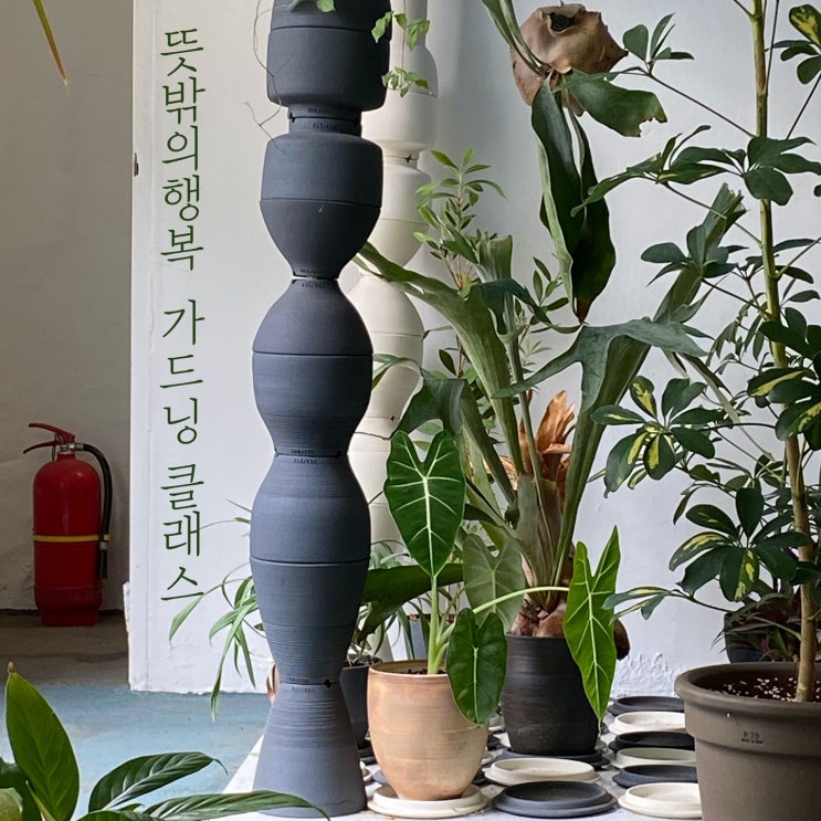  코로나 블루 극복 이태원 뜻밖의행복 여름 가드닝 클래스
