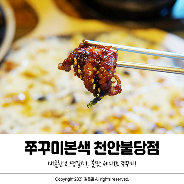 불당동 쭈꾸미맛집 불맛 제대로 쭈꾸미본색 천안불당점