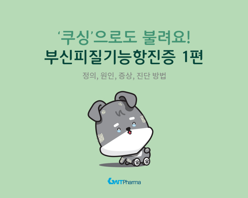 3. 강아지 쿠싱증후군, 부신피질기능항진증 1편 : 정의, 원인, 증상, 진단