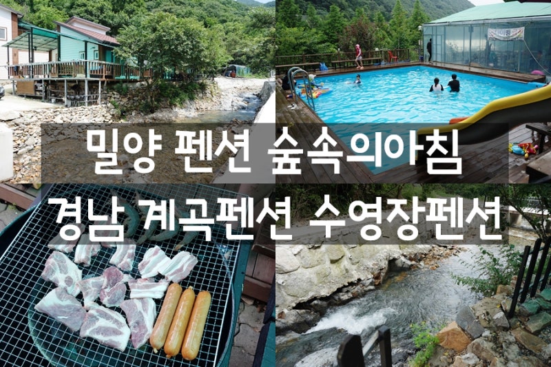이놀자 리뷰 :: 밀양 펜션 숲속의아침 대구 근교 계곡 펜션 시원한곳 이놀자 리뷰 :: 밀양 펜션 숲속의아침 대구 근교 계곡 펜션 시원한곳