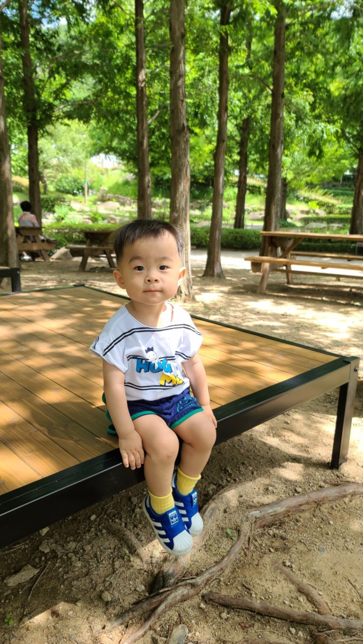  무더운여름 아이와 숲놀이