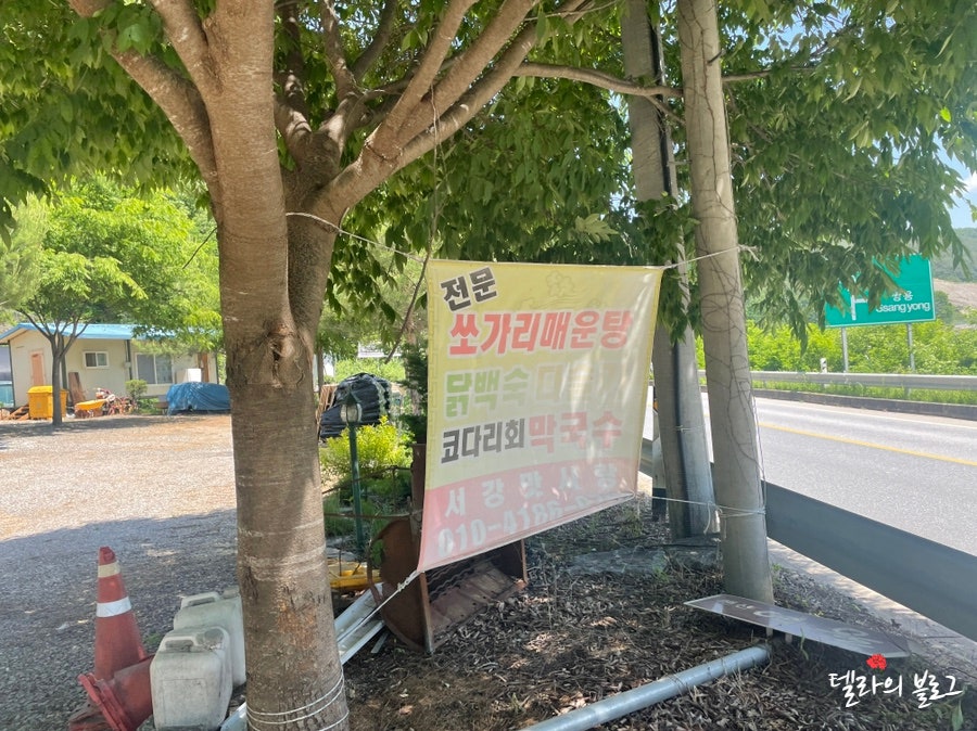서강맛사랑 사진 1