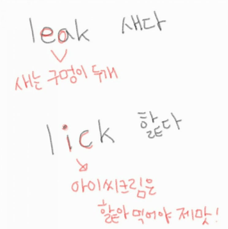 [헷갈리는 단어] leak vs. lick