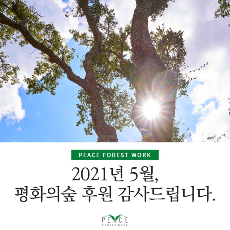    사단법인 평화의숲 5월 후원에 감사드립니다
