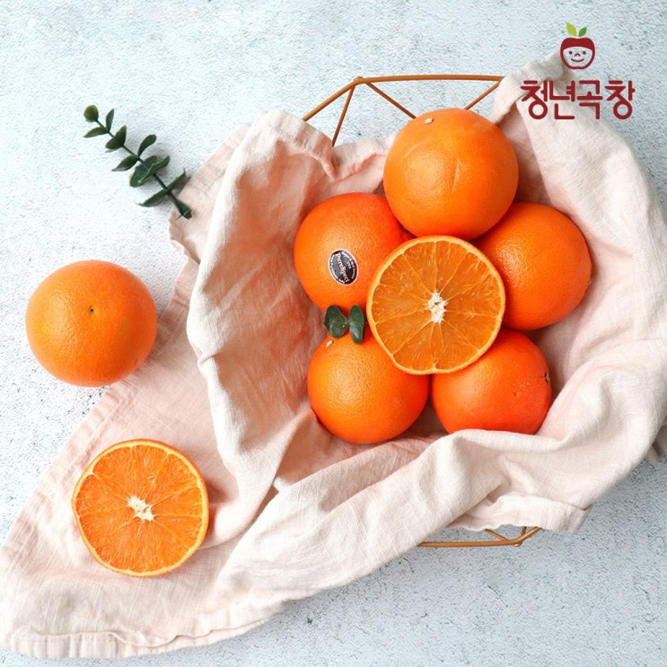 잘나가는 청년곡창 퓨어스펙 오렌지 중과 15과~30과 / 대과 15과~25과, 중과 15과 추천합니다 잘나가는 청년곡창 퓨어스펙 오렌지 중과 15과~30과 / 대과 15과~25과, 중과 15과 추천합니다