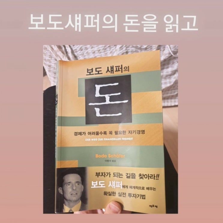  보도 섀퍼의 돈