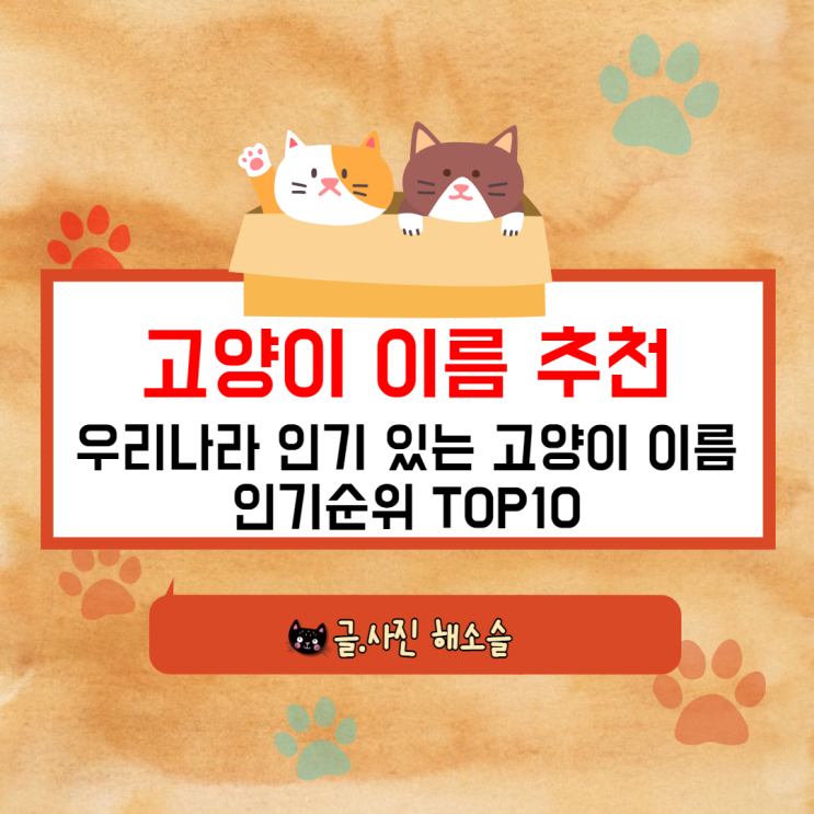  고양이 이름 추천, 우리나라 인기 있는 고양이 이름 인기순위 TOP10
