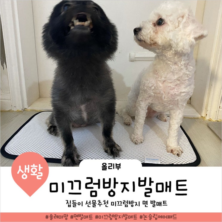  미끄럼방지면발매트 솔레마망 강아지가 더 좋아해요