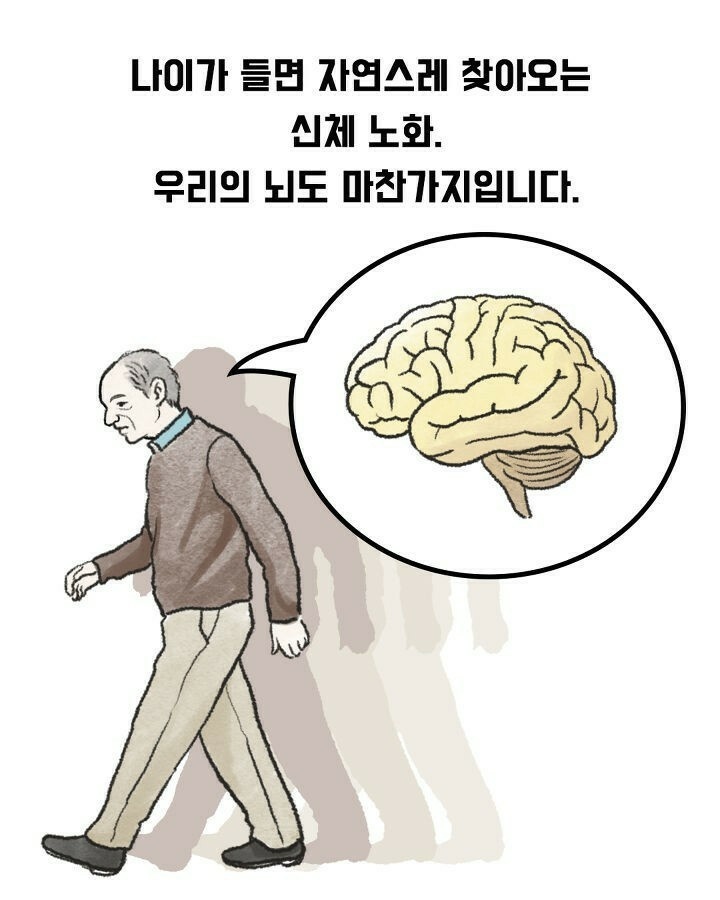 싱싱한 뇌 유지법, 수퍼에이저 싱싱한 뇌 유지법, 수퍼에이저